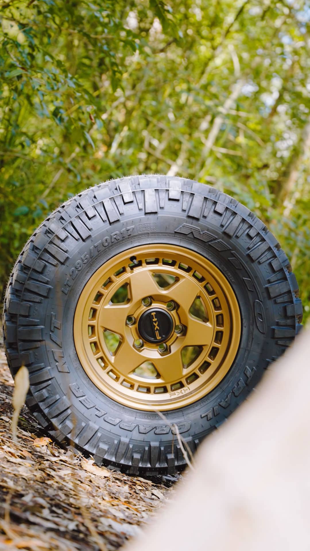 Nitto-Forrest-2-1920px